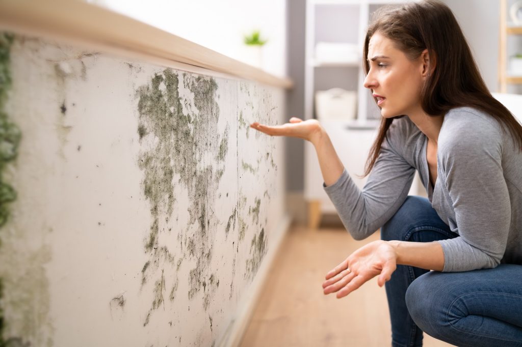 how to detect mold in walls