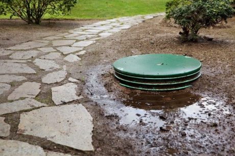 Standing water in a garden