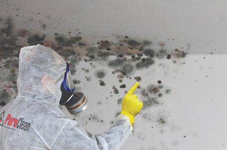 How much does mold devalue a home? Mold spores can be found on walls and flooring in your house.