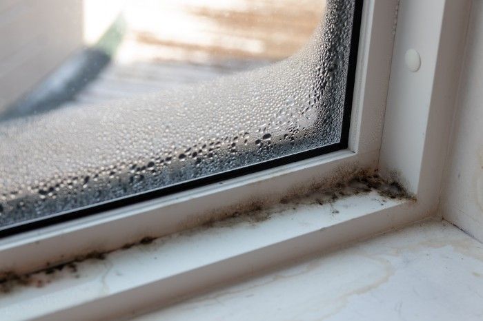 Mold on windows in a home