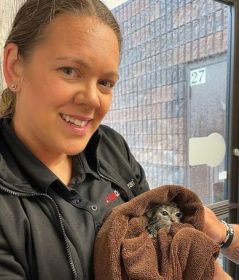 Saving a Drenched Kitten from a Ditch 2023