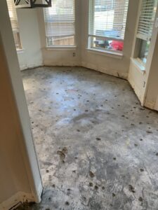 Mold found during the water damage remediation in Allen, Texas, home