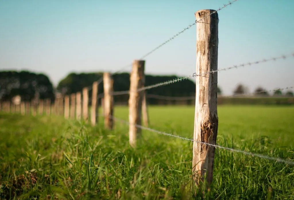 A barbed wire fence outside.
