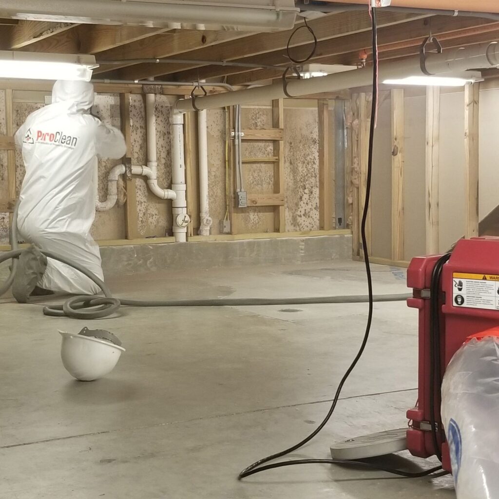 PuroClean technician cleaning mold in a crawlspace