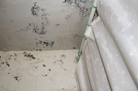 mold in a home bathroom