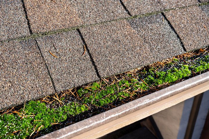 roof with debris in gutter
