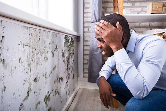 a man seeing mold growth on walls
