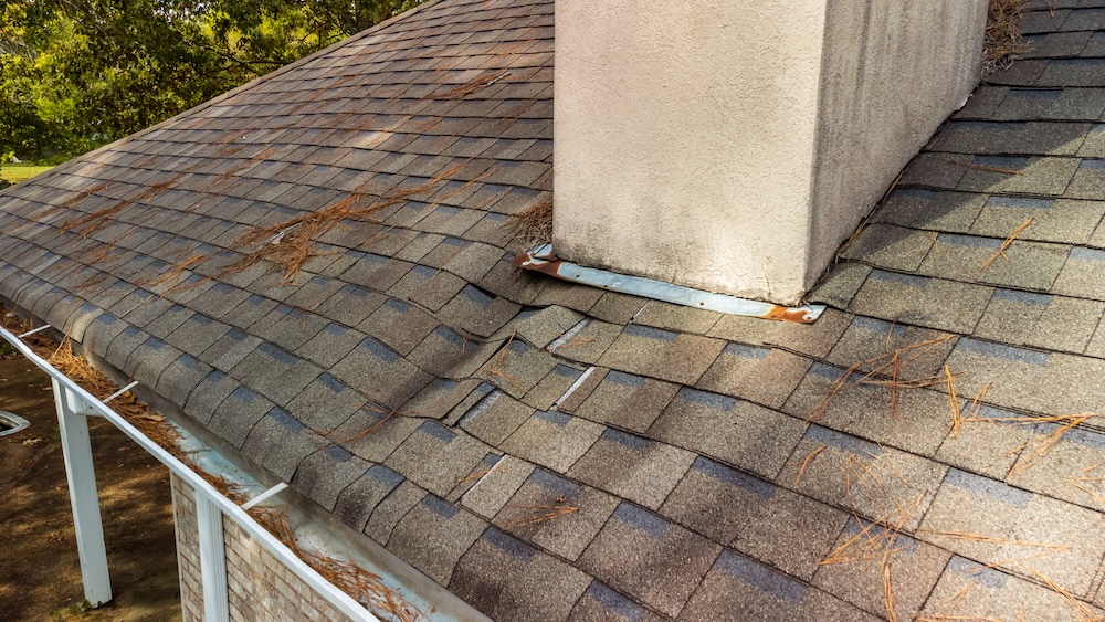 Roof leak water damage to structure and shingles