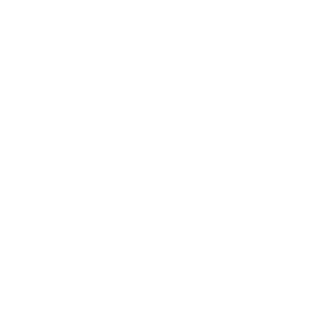 detailed assessment with checkmarks icon