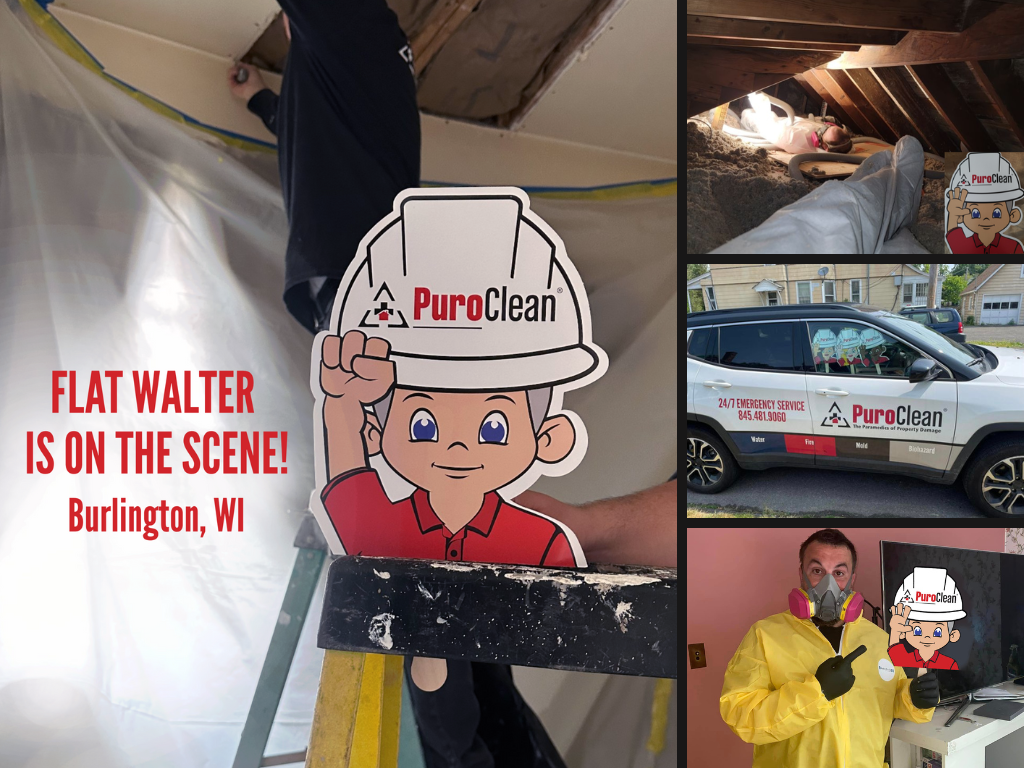Flat Walter on the Scene Collage in local communities and job sites.