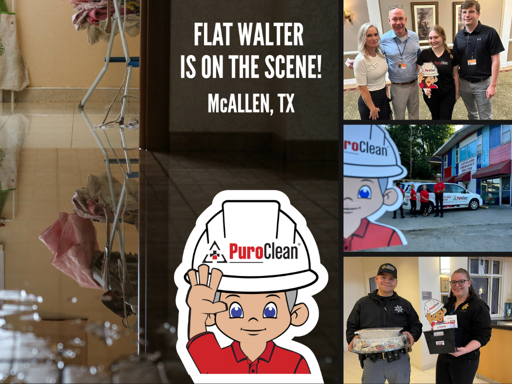 Flat Walter is on the scene in the community collage before he became the face of the Smart Search AI Overview on the PuroClean website.