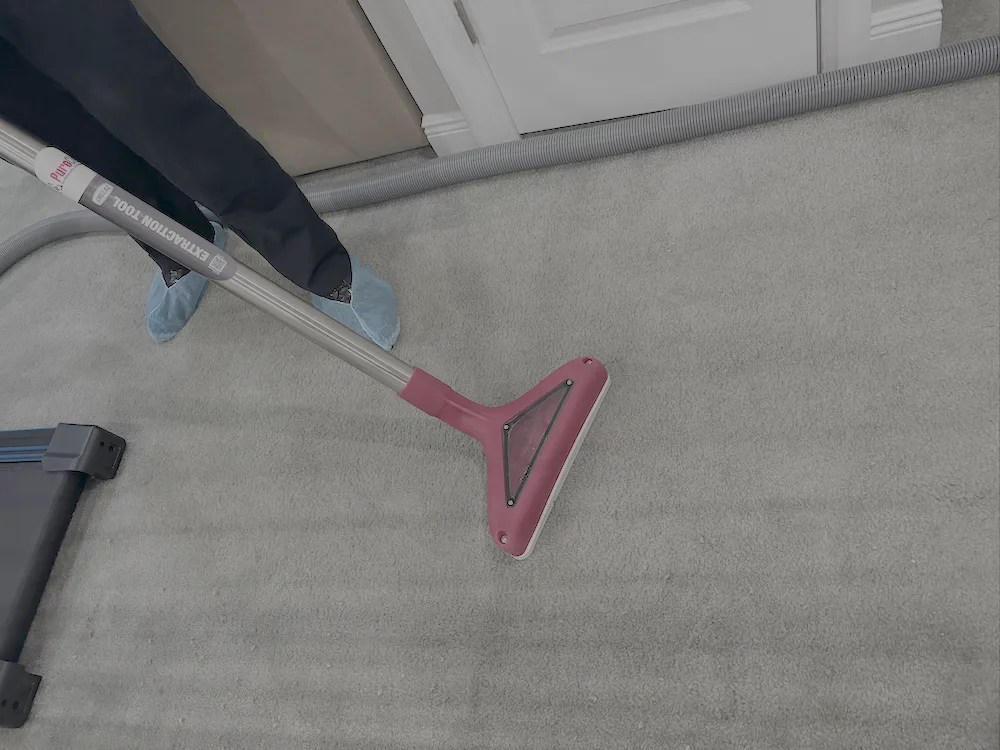 Carpet and Upholstery Cleaning