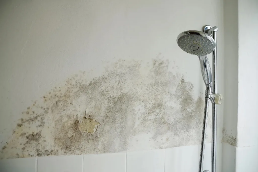 Water-damaged bathroom wall with extensive black mold and peeling