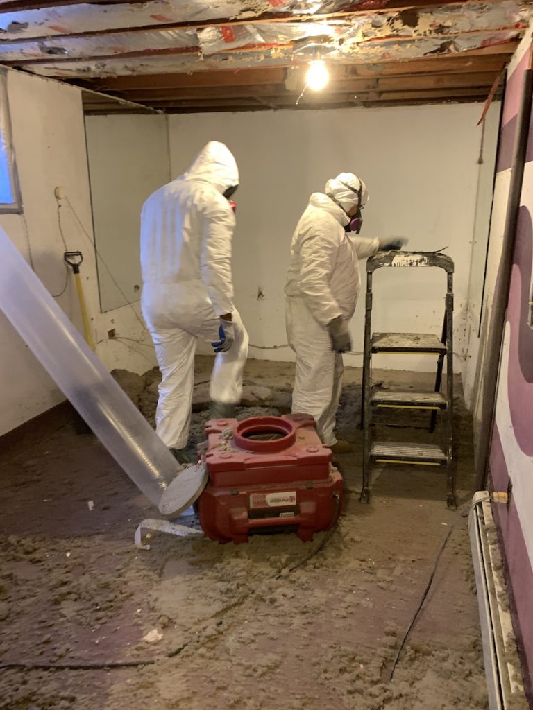Mold In the December Cold