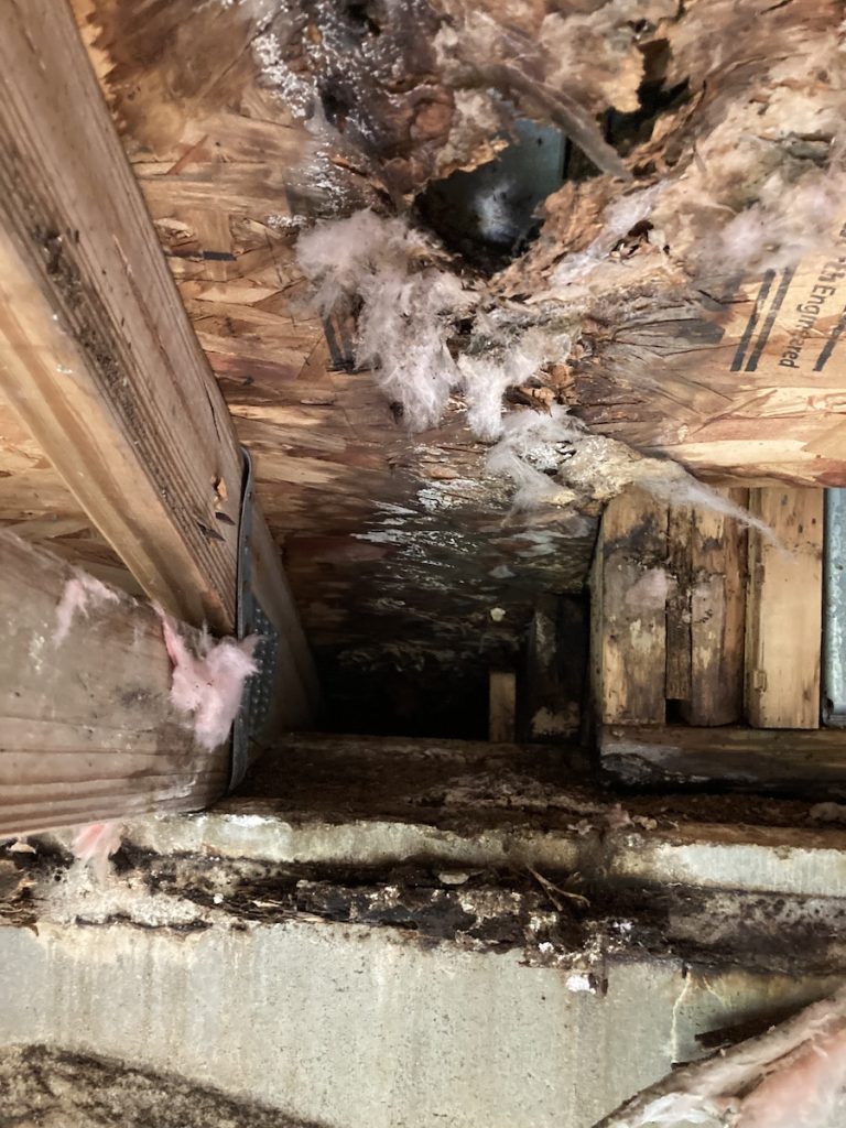 mold and water stains