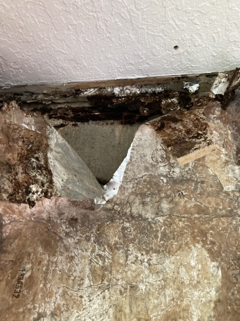 mold and water stains