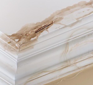 Water Damage