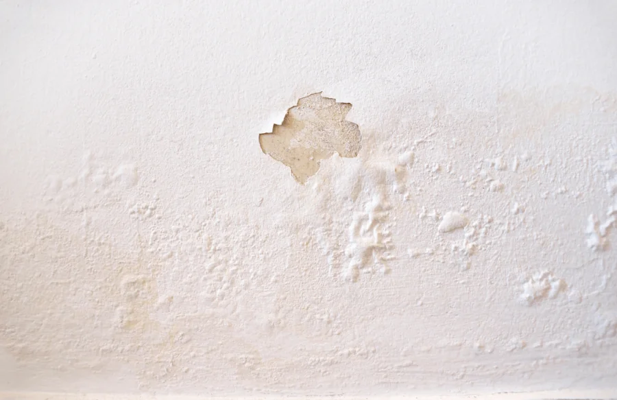 does homeowners insurance cover water damage?