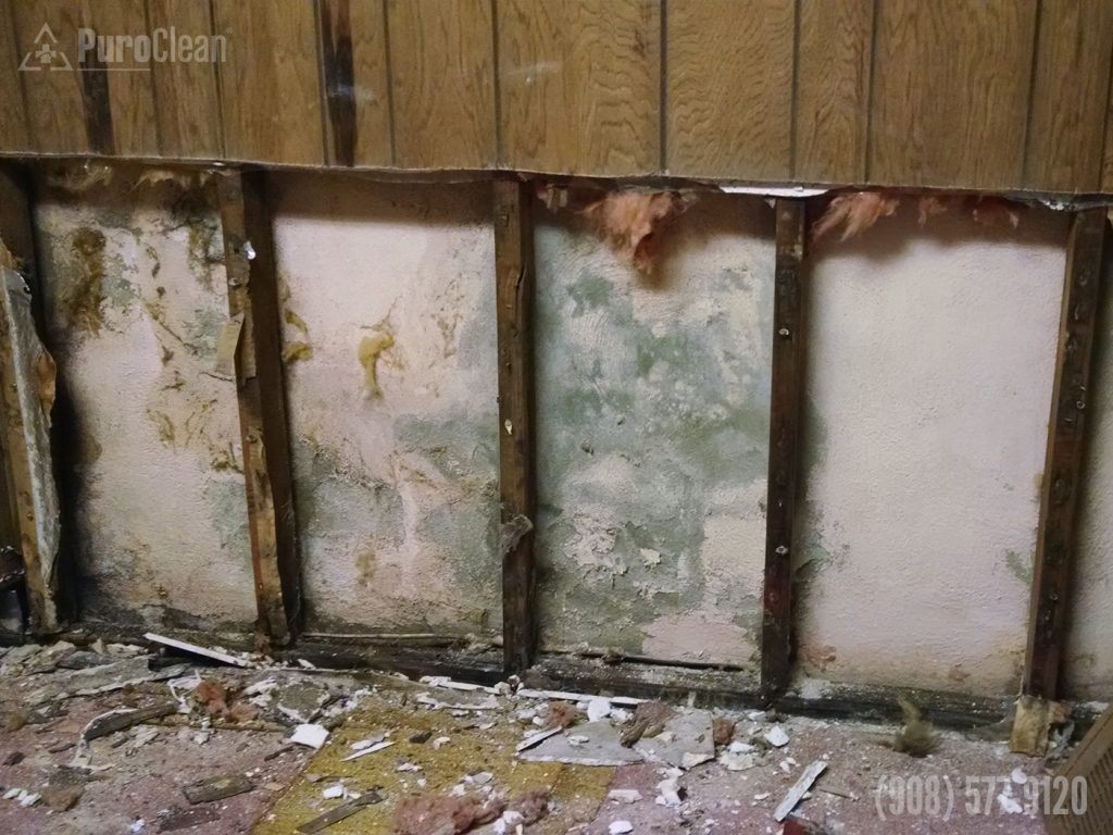 Drywall mold found under panelling