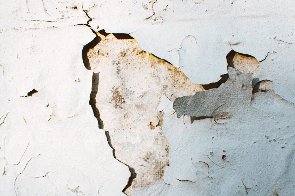 Water damage restoration Bradenton