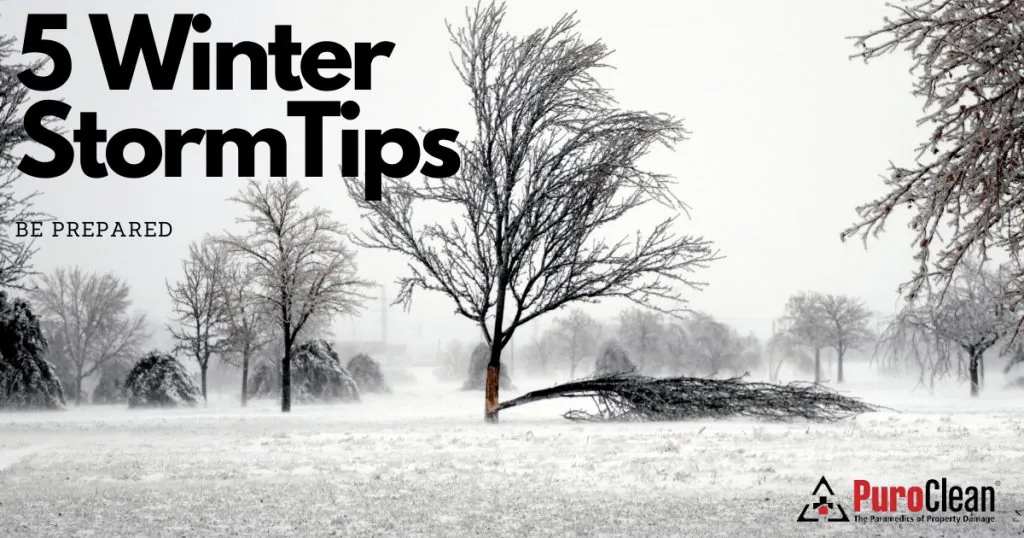 5 Winter Storm Tips To Keep Safe On The Grand Strand