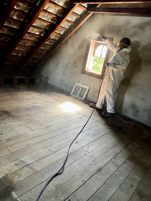 guano removal