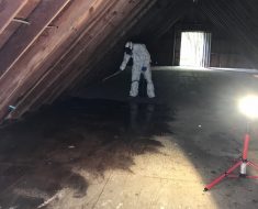 Bat Guano clean up Puro Clean of Reading