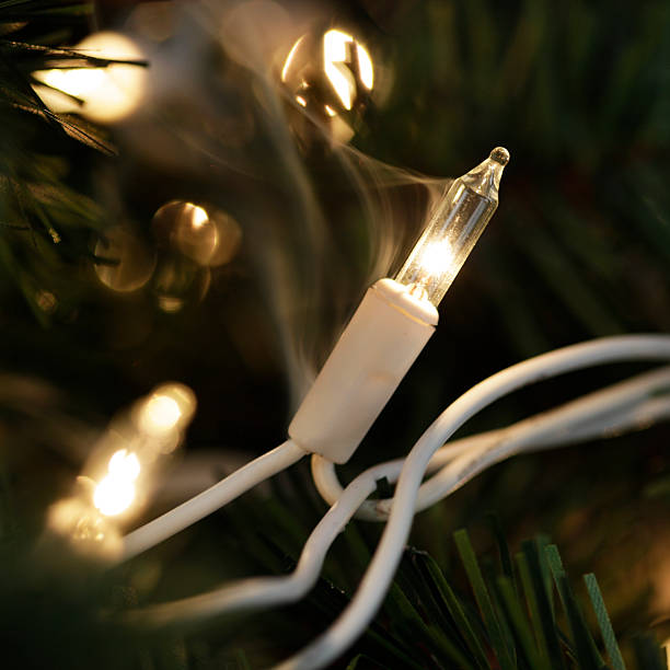 Deck the Halls Safely: PuroClean’s Guide to Electrical Holiday Safety