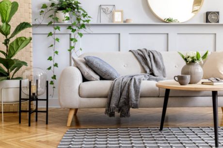 healthy home