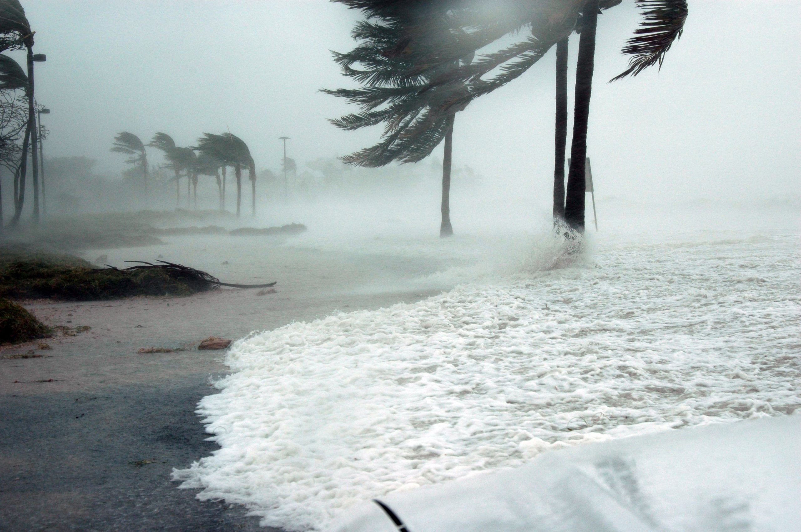 Don’t Let Water Win: The Ultimate Guide to Water Damage and Restoration