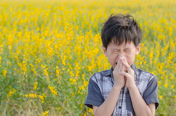 Allergy-Proofing Your Home: How to Reduce Mold, Dust, and Pollutants This Spring