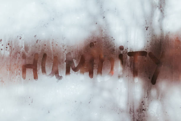 Humidity Headaches: How to Protect Your Home from Moisture Damage in Late Spring