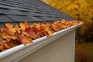 fall gutter maintenance