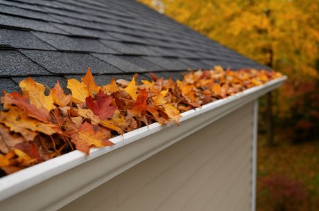 fall gutter maintenance
