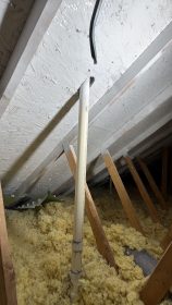 attic mold removal