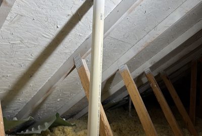 attic mold removal