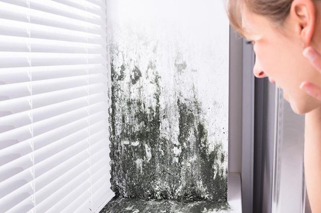 mold in home