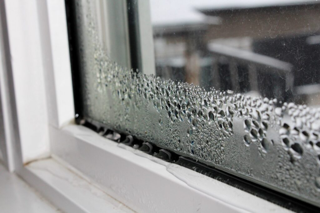 winter mold