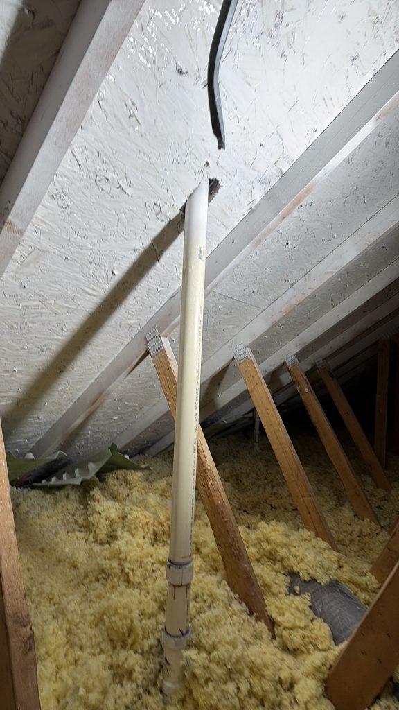 attic mold removal