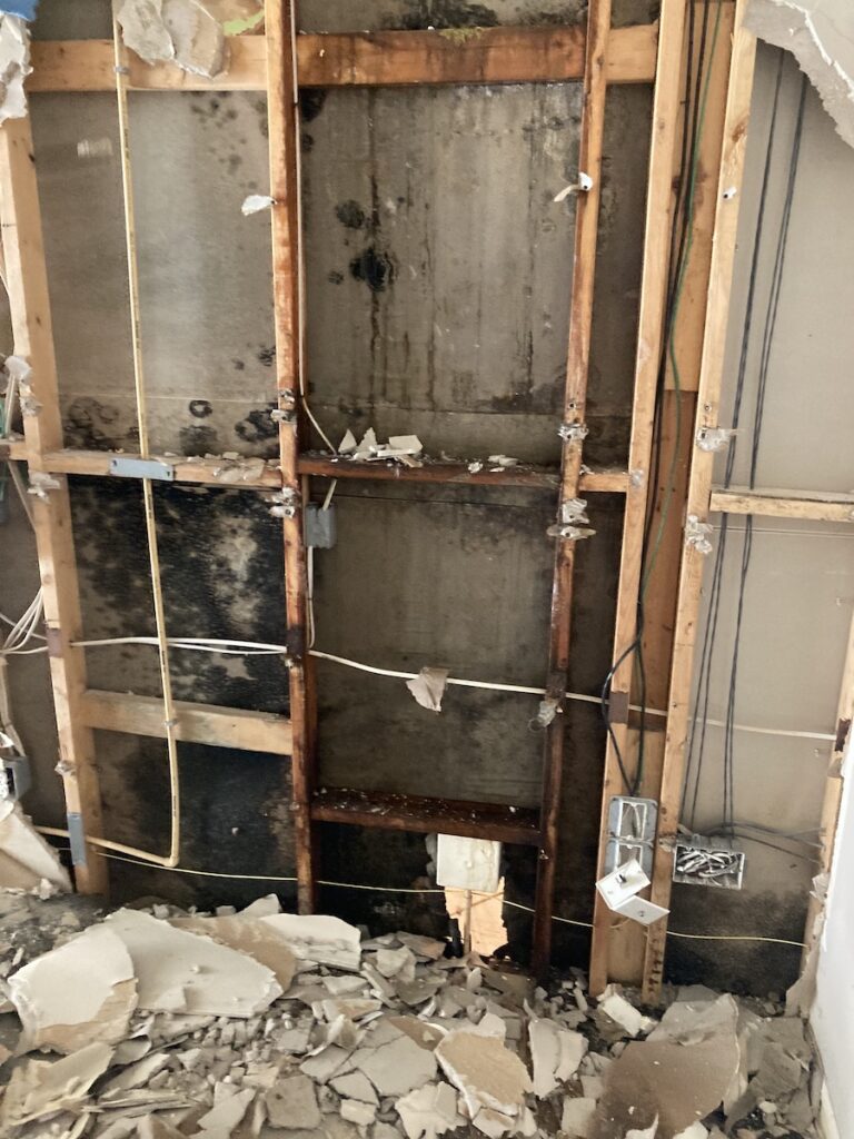 Mold restoration in Tampa, FL
