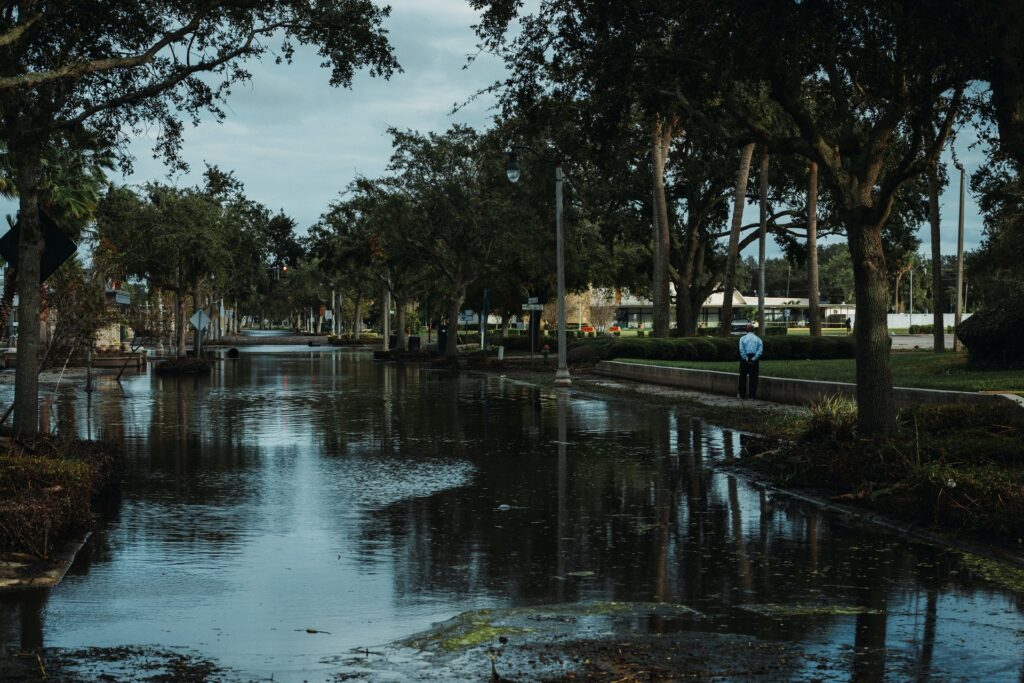 flood restoration zephyrhills fl