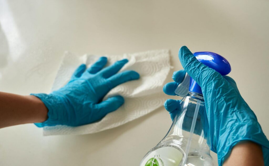 mold removal in Wesley Chapel