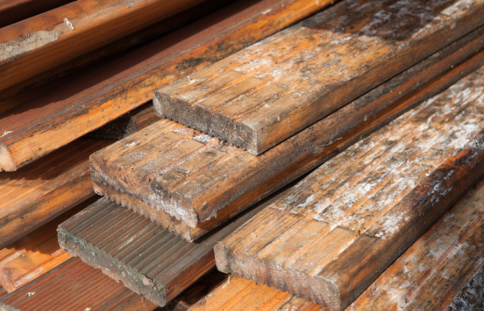 mold from attic removal and to prevent on your plywood surfaces