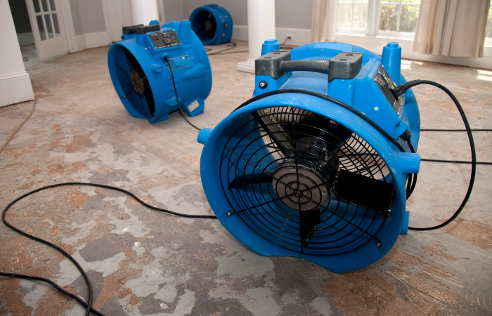 water damage restoration in zephyrhills
