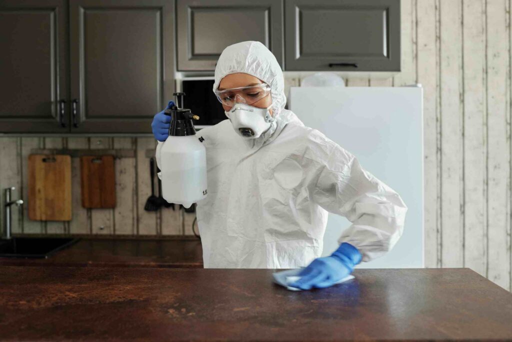 water damage restoration in zephyrhills