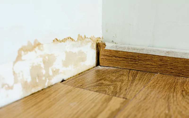 water-damaged hardwood floor