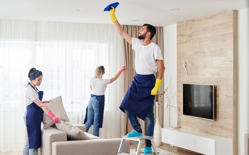 home move in cleaning zephyrhills