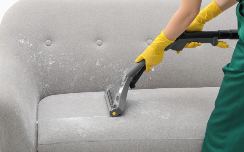 professional upholstery cleaning in zephyrhills