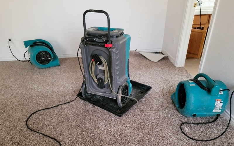 How Drying & Dehumidification Services Help Prevent Mold After Water Damage