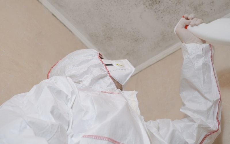 How to Get Rid of Mildew Smell in Home Without Masking the Odor